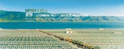 市場監管總局正式認可！螺旋藻增強免疫力再添權威認證！